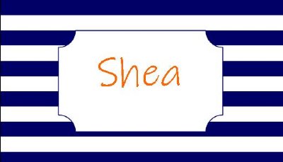 Stripe Enclosure – Navy & Orange